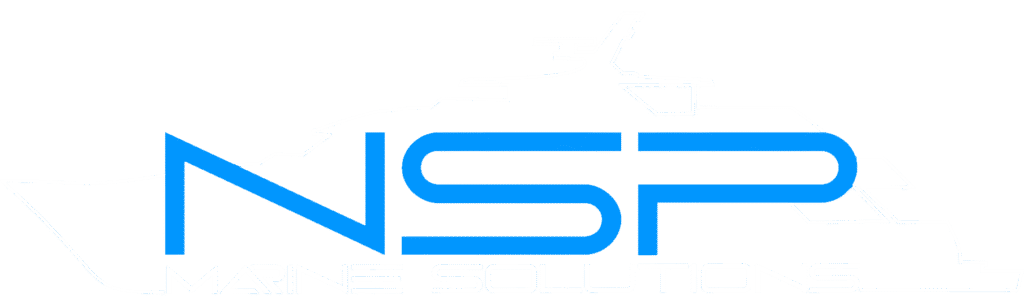 NSP Logo